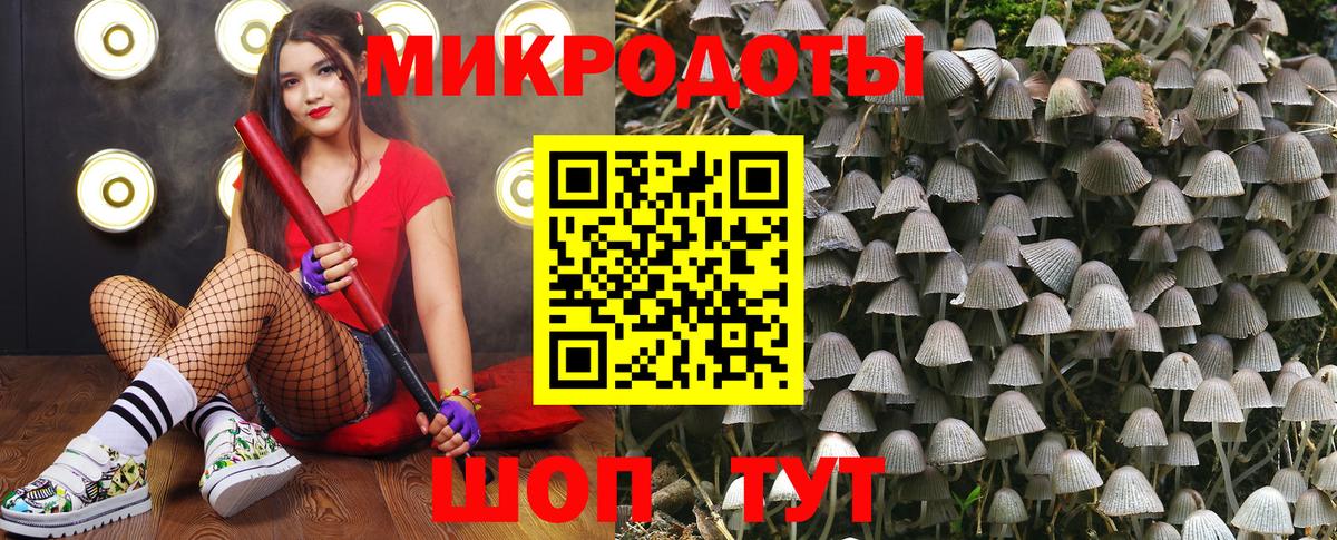 Строитель  Псилоцибиновые грибы мицелий  Псилоцибиновые грибы GOLDEN TEACHER  Вход с VPN 
