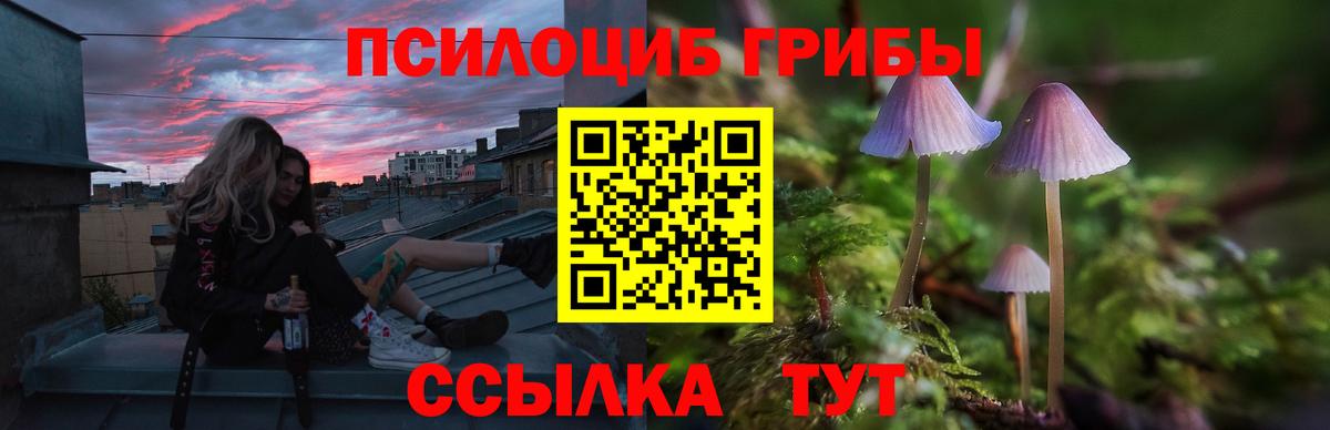 Псилоцибиновые грибы мухоморы Строитель